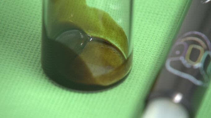 大麻密輸で米国籍の男を逮捕　沖縄県警　|　沖縄のニュース｜RBC 琉球放送