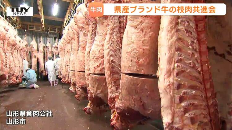 総称山形牛」のブランド力向上へ！枝肉の品質を競う共進会 最高賞は約