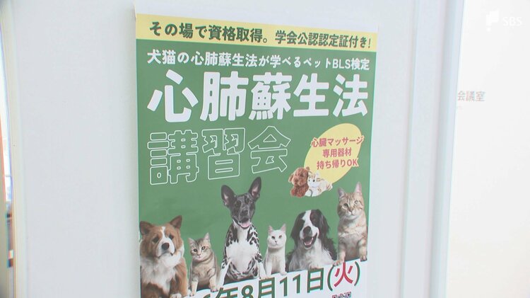 心肺停止の犬や猫への一次救命処置を学ぶ「ペットBLS検定」の講習会