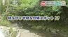 涼を求めて夏休みに行ってみたい！県北・山鹿の穴場スポット　　|　熊本のニュース｜RKK NEWS｜RKK熊本放送