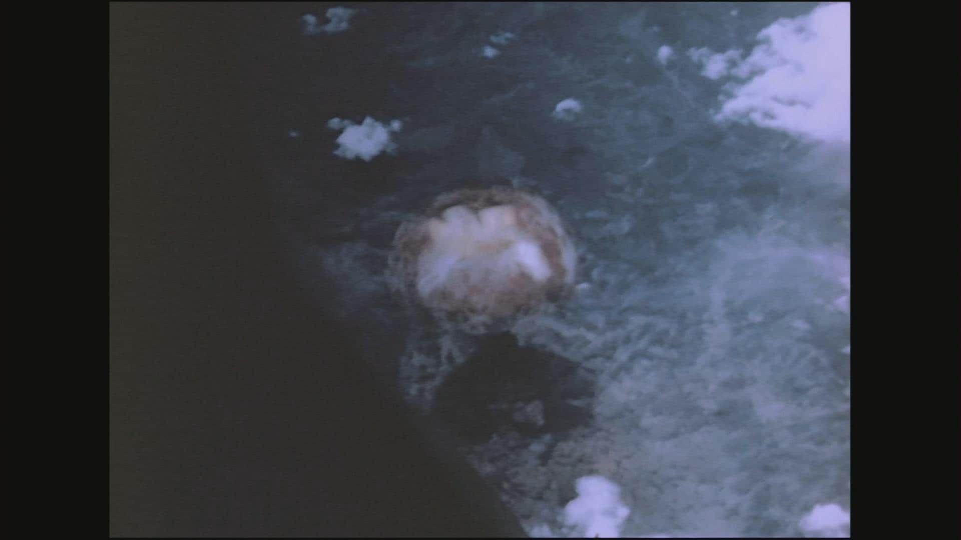 核兵器の被害は子にも？ 被爆81年、被爆二世のゲノム解析「トリオ調査」本格始動 DNA変異の