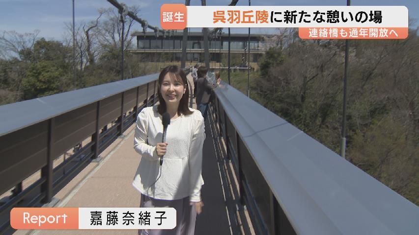 北アルプス立山連峰を一望！丘陵広場に「クレハオトメシダレ」など30本
