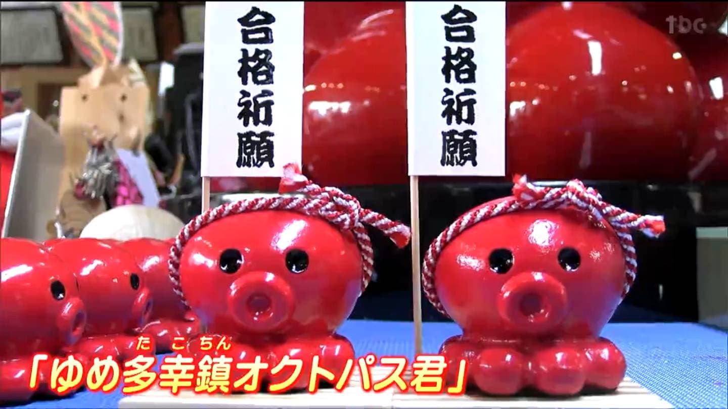 引っ張りダコの状況です」名産