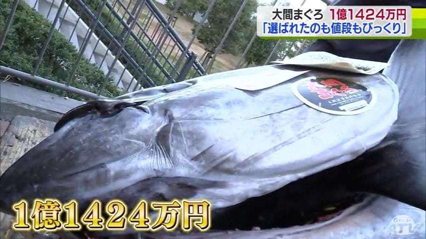 マグロ マグロ彫刻13作品画像一覧 – 株式会社ティーズ・クリップ