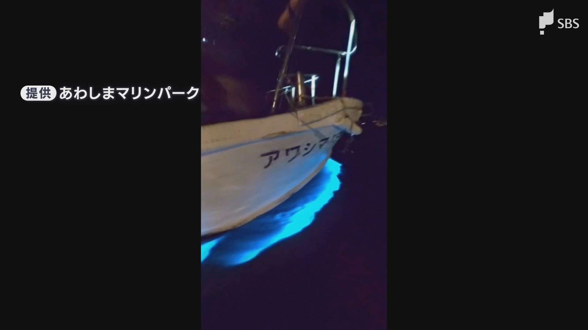 年に数回見られればラッキー」夜の海で青い光が発生 その正体は「夜行