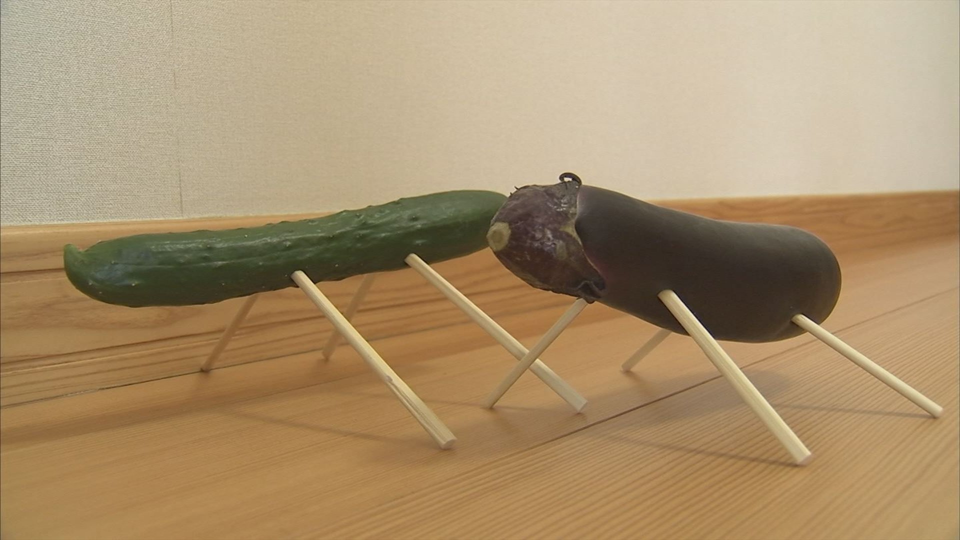 ゴミに出すのは忍びない キュウリの馬 ナスの牛 盆飾りの処分方法は Tbs News Dig 1ページ