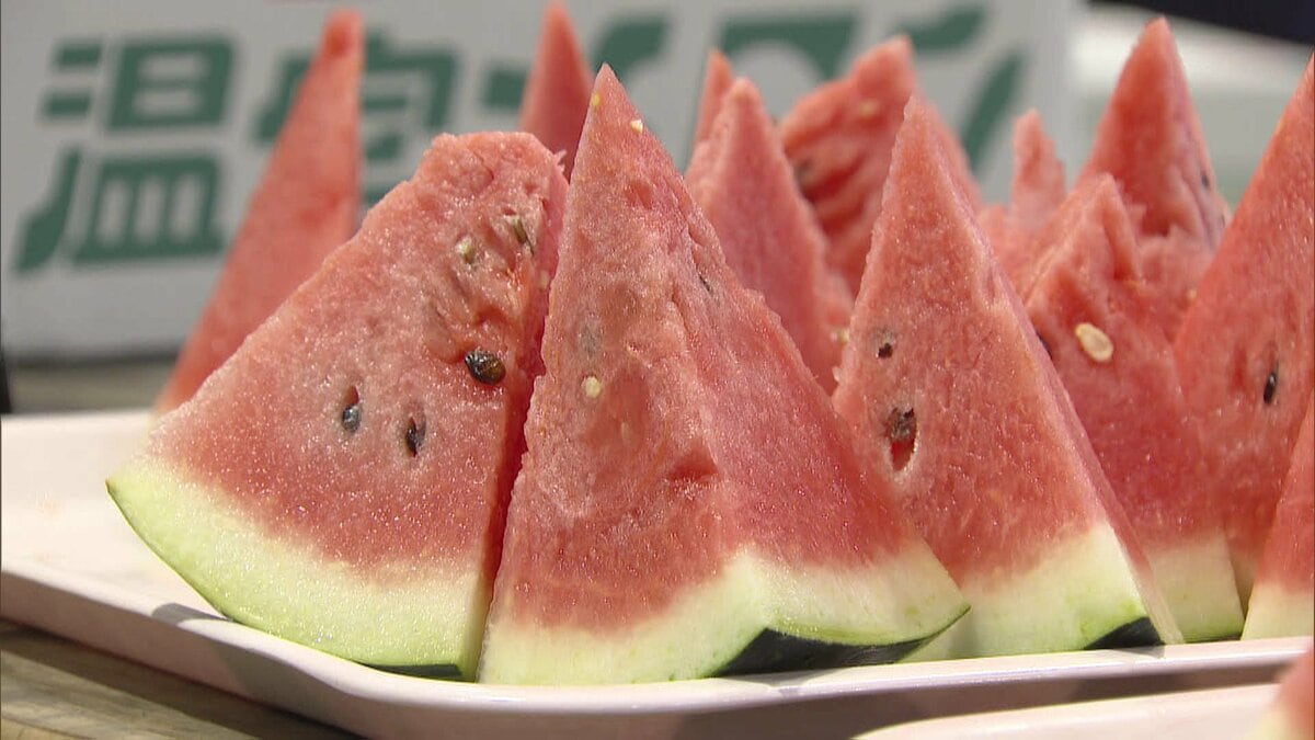 最高値は1玉1万円 ”シャリシャリ食感””高糖度”「きたざき西瓜」初