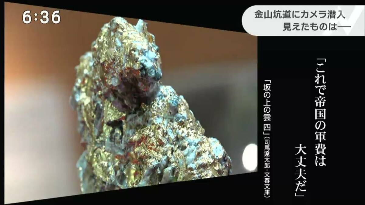 img_772c6e987a3707507773648ce0