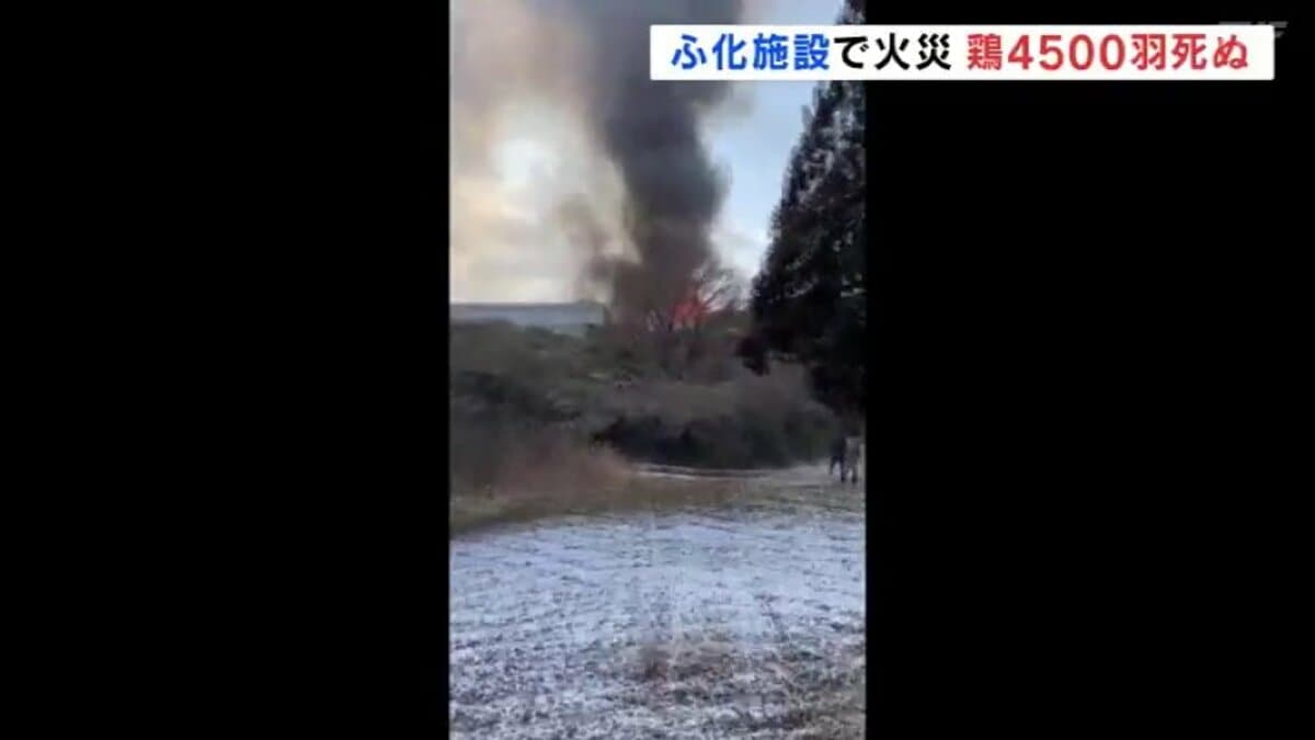 炎がバーッと…」ニワトリ4500羽死ぬ 卵のふ化施設で火災 福島・郡山市