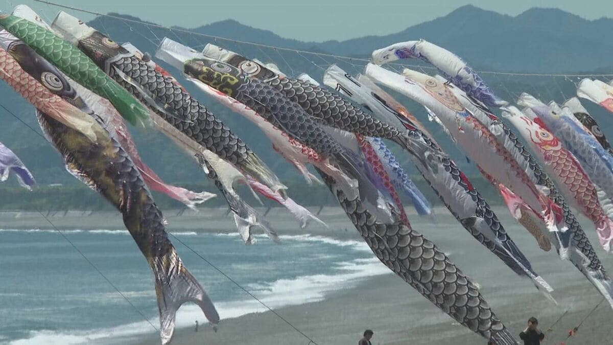 こいのぼり 地元の若者たちが動いた！ 存続の危機乗り越え こいのぼり250匹が空へ