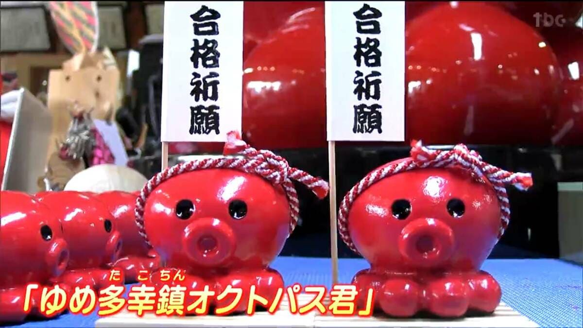 引っ張りダコの状況です」名産