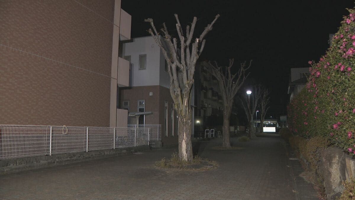 愛知・小牧市の路上で強盗傷害事件　歩いていた43歳女性が、後ろから近付いてきた男に現金1万1000円入りのバッグ奪われ、前歯折るケガ