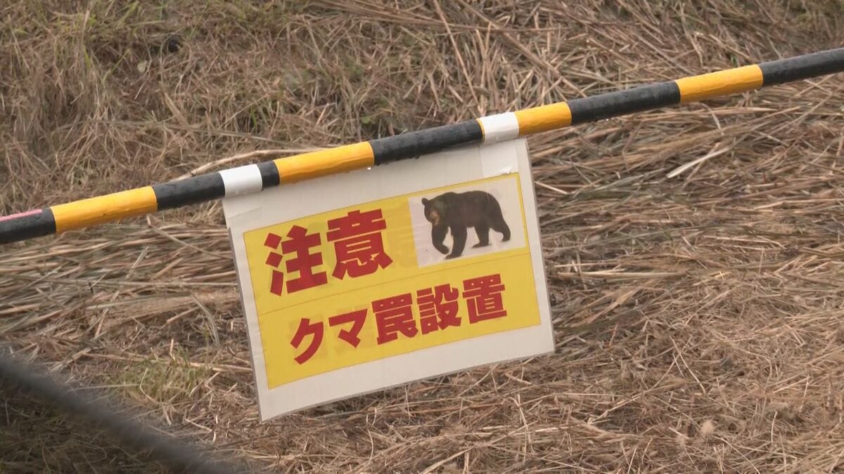 “クマ目撃”の教諭が証言｢大型犬の1.5倍くらい｣ 小中学校は臨時休校に 捕獲には至らず 岐阜・高山市丹生川町で警戒つづく