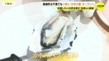 壊滅的な不漁の呉市で「かき小屋」オープンへ　冷凍や広島県外産でも冬の味覚楽しんで　「食べて協力」　広島・呉市|TBS NEWS DIG