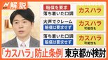 「カスハラは許されない」防止条例を制定へ 東京都が検討開始 急増する“ハラスメント”の境界線は?【Nスタ解説】|TBS NEWS DIG