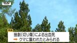 遺体は山菜採りで不明の酒田市の男性(78)　クマに襲われ死亡した可能性高い|TBS NEWS DIG