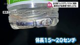 ペットボトルに入る大きさ 「幻の深海魚」リュウグウノツカイの稚魚?高校生が釣り上げる|TBS NEWS DIG