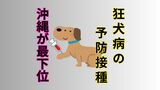 狂犬病の予防接種を!例年沖縄が接種率ワースト|TBS NEWS DIG