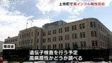 死んだフクロウ1羽に高病原性鳥インフルエンザの疑い　簡易検査でインフル陽性反応　富山・上市町|TBS NEWS DIG