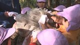 園児が今年の干支・うさぎと来年の干支の辰の像を磨く 笛吹市の神社|TBS NEWS DIG