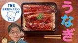 「土用の丑の日」が2回も来る!土用ってなに?なぜウナギを食べるの?【気象予報士・森朗のお天気タイムマシン】|TBS NEWS DIG