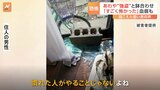 「見つかった！」“強盗目的”侵入犯の声　鉢合わせの住人「すごく怖かった」室内には血痕が　千葉・鎌ケ谷市|TBS NEWS DIG