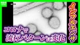 【インフルエンザ】最早「冬だけの感染症」じゃない？夏でも沖縄・関東で流行期入り　新型コロナでパターン変化…インバウンド増も背景に感染拡大|TBS NEWS DIG
