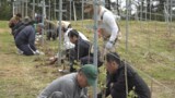 「この地域の特産品がワインと知る機会増えれば」４０００㎡の展示用圃場　ワイン用ブドウの苗木植樹　|　青森のニュース│ATV NEWS│青森テレビ