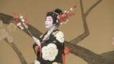 磨き抜かれた伝統芸を披露「金沢おどり」 3つの茶屋街の芸妓衆が情緒豊かな舞台を繰り広げる 今年のテーマは「旅」|TBS NEWS DIG
