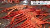 浜値は例年の4倍 秋の味覚 ベニズワイガニ 初水揚げ 富山|TBS NEWS DIG
