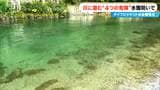 水難事故を防ぐには… 川に潜む“4つの危険” 専門家に聞く 川遊びで注意すべきことやライフジャケットの重要性は？ |TBS NEWS DIG
