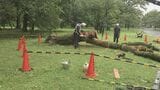 小金井公園で倒木　高さ約13メートルのサクラ　台風の影響の可能性も|TBS NEWS DIG