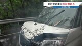 雨で倒木か? 車のフロントガラスが破れるも運転手に けがなし 熊本 | 熊本のニュース|RKK NEWS|RKK熊本放送