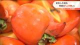 「普段通りおいしいので」“変形した柿”が特産「ころ柿」に変身“大手スーパー”が販売「加工に手間が2倍・3倍」宮城・丸森町　|　宮城のニュース│tbc NEWS│tbc東北放送