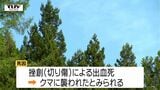 遺体は山菜採りで不明の酒田市の男性(78)　クマに襲われ死亡した可能性高い|TBS NEWS DIG
