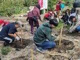 「産・学・官」初の連携でクロマツ植樹 新潟市西海岸公園に10年かけ「けんしんの森」  | 新潟のニュース・天気|BSN NEWS|BSN新潟放送