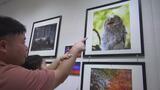 「刺激されます」“映える”写真が一堂に インスタで活躍!写真愛好家が作品展 福島 | 福島のニュース│TUF