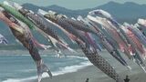 地元の若者たちが動いた! 存続の危機乗り越え こいのぼり250匹が空へ…三重・熊野市 七里御浜|TBS NEWS DIG