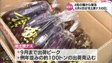 6月4日が宮崎の伝統野菜「佐土原ナス」の記念日に制定 | MRTニュース | MRT宮崎放送