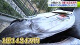 2024年も『一番マグロ』は大間まぐろ!! 価格は4年ぶりの1億超の大台突破!!|TBS NEWS DIG