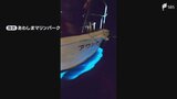 「年に数回見られればラッキー」夜の海で青い光が発生 その正体は「夜行虫」幻想的な光を放つ理由は?＝静岡・沼津市　|　静岡のニュース | SBSNEWS | 静岡放送