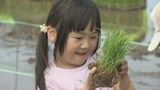 今年のテーマは「七夕ものがたり」　稲穂で描くた田んぼアートの田植え　福島・鏡石町　|　福島のニュース│TUF