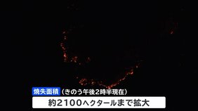 岩手・大船渡市の山林火災、発生から7日目　避難の長期化など懸念|TBS NEWS DIG