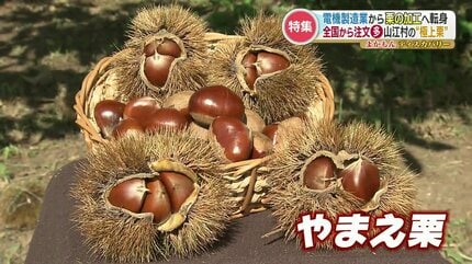 経営危機から一転『栗』が村の一大産業へ 口当たり抜群で甘味が広がる