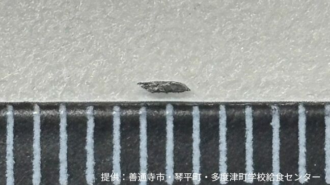 コッペパンに金属片が付着　検品で見つかる　けが人はなし　混入の原因を調査中【香川】|TBS NEWS DIG
