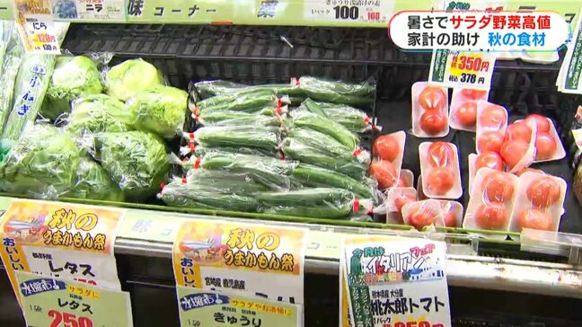 「きょうはミニトマト諦めます」異例の暑さ続く10月　スーパーではサラダ野菜高止まり　秘策は「旬の食材」|TBS NEWS DIG
