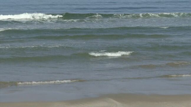 溺れた子の救助に向かった親が命を落とすケース相次ぐ…なぜ？　専門家警鐘「助ける」という考えは捨てて「親子で一緒に浮いて救助を待て」|TBS NEWS DIG