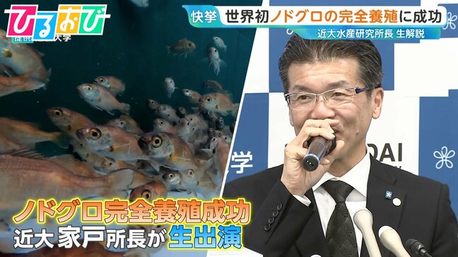 光でパニック…『ノドグロ』完全養殖成功までの苦難の道のりを近大・研究所長が解説 食卓にはいつ並ぶ?【ひるおび】|TBS NEWS DIG