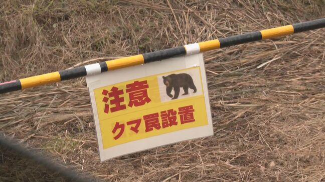 “クマ目撃”の教諭が証言｢大型犬の1.5倍くらい｣ 小中学校は臨時休校に 捕獲には至らず 岐阜・高山市丹生川町で警戒つづく|TBS NEWS DIG