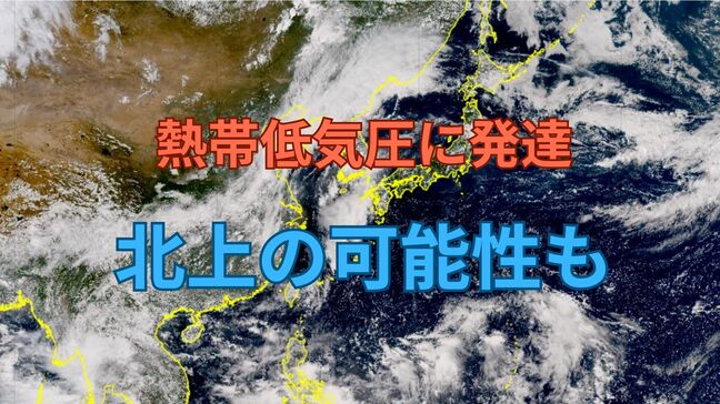 フィリピン東の低圧部が熱帯低気圧に発達 “台風のたまご” になるか　北日本では大雨警戒、西日本は “最高気温40℃前後” の猛暑続く【雨と風のシミュレーション】|TBS NEWS DIG